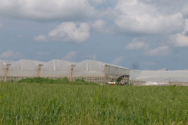 Israel Technology - Israeli Achievements - Agriculture