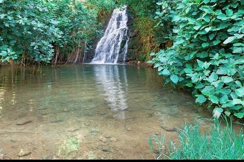 Metula