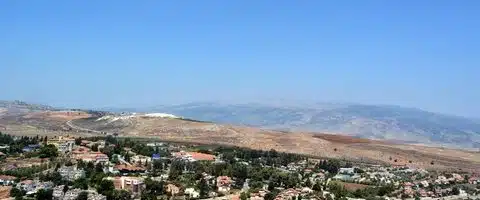 Metula